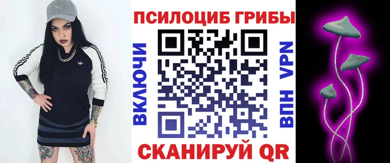 купить наркоту Владивосток Галлюциногенные грибы Magic Shrooms
